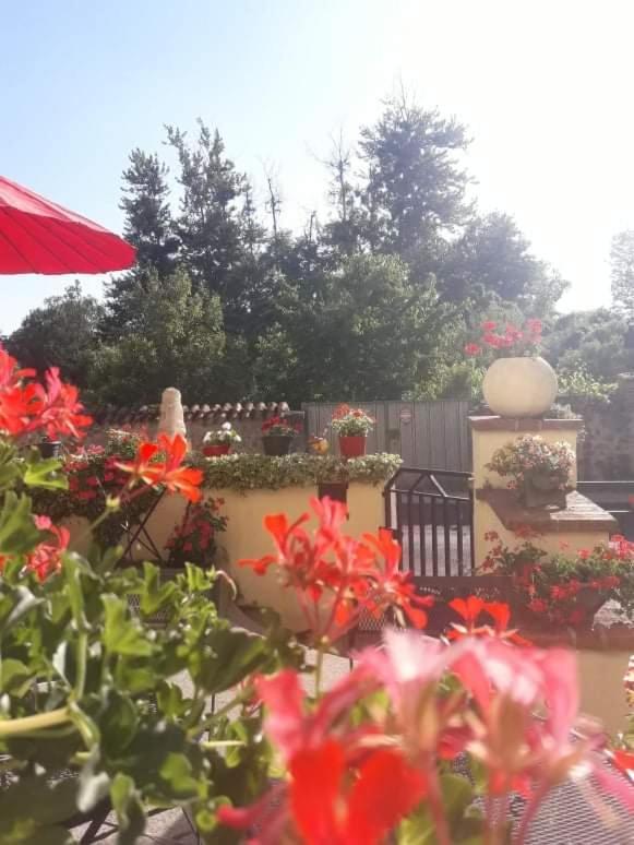 Sunset House Chambres De Hotes Magnac-Laval ภายนอก รูปภาพ