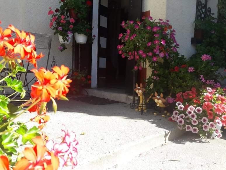 Sunset House Chambres De Hotes Magnac-Laval ภายนอก รูปภาพ